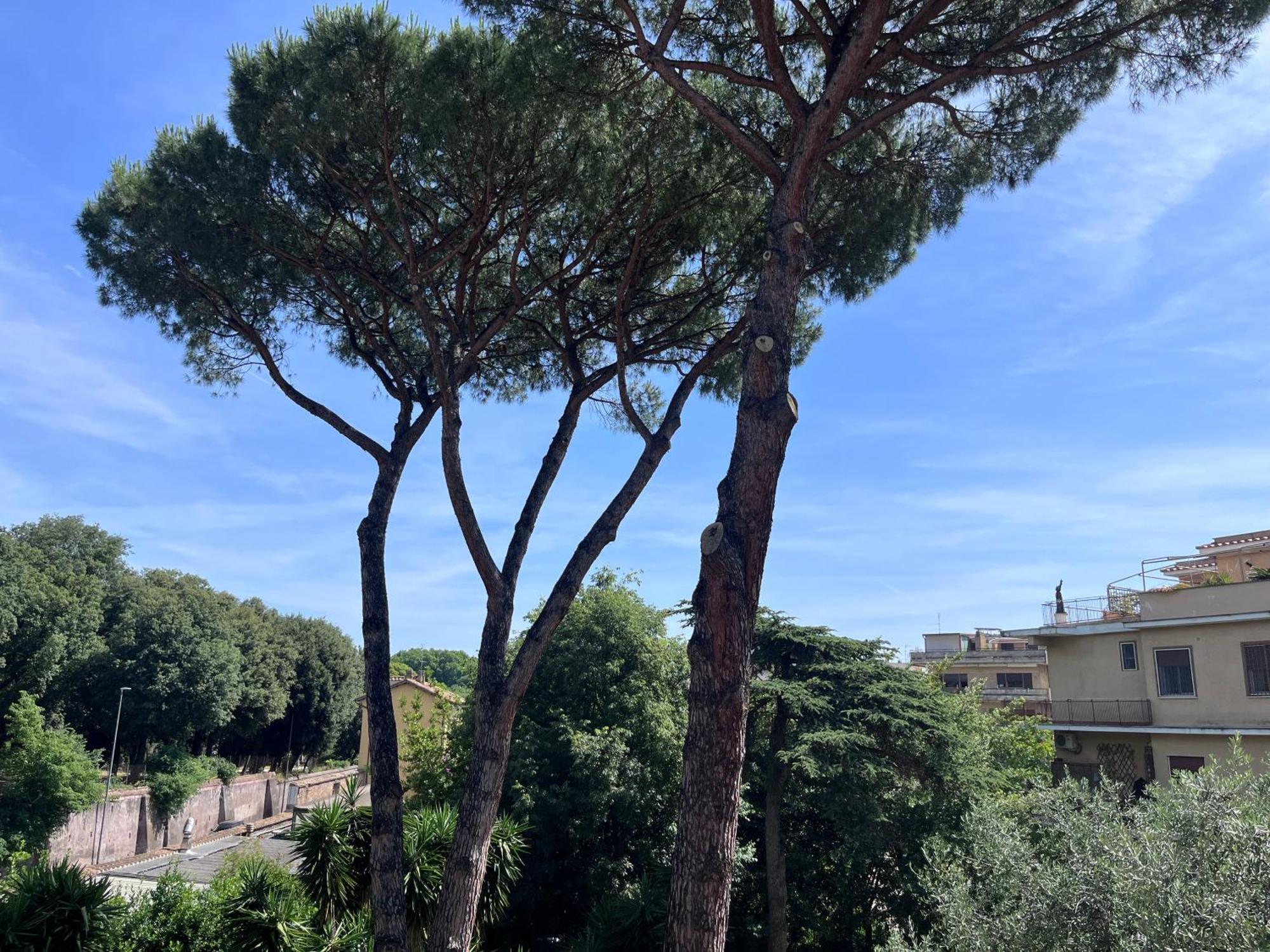 Сasa de vacaciones Park San Pancrazio Roma